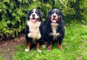 Ausflug nach Thüringen